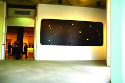 Art Gallery of Western Australia - Wall works with Jeremy Kirwan-Ward 2010