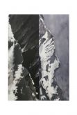 Reunification Series #1 oil on canvas 216x150cm 2013