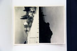 Reunifiction Series # 54 2011