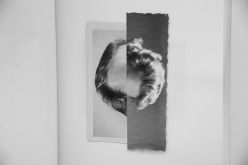 Reunifiction Series # 84 2011