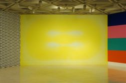 Wall Power, Art Gallery of Western Australia 2005