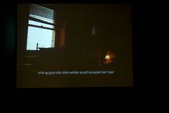 Bordello Series moving images part 1 and 2 