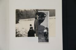 Reunifiction Series # 56 2011